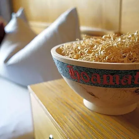 Cornelia 住宿加早餐酒店 索尔登